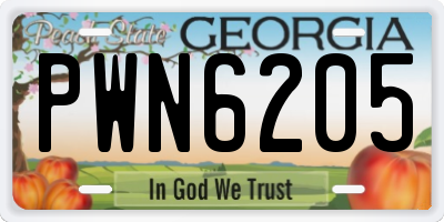 GA license plate PWN6205
