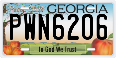 GA license plate PWN6206