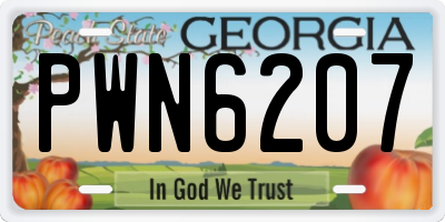 GA license plate PWN6207