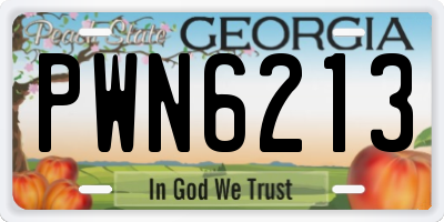 GA license plate PWN6213