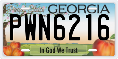 GA license plate PWN6216