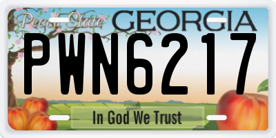 GA license plate PWN6217