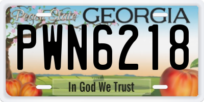 GA license plate PWN6218
