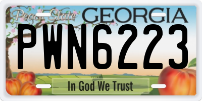 GA license plate PWN6223