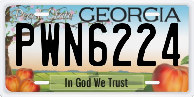 GA license plate PWN6224
