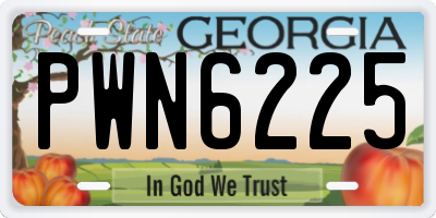 GA license plate PWN6225