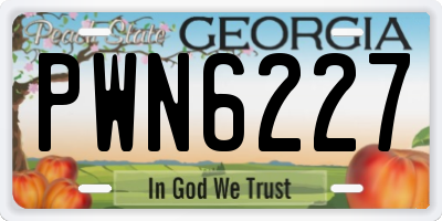 GA license plate PWN6227