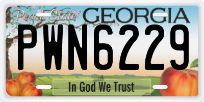 GA license plate PWN6229
