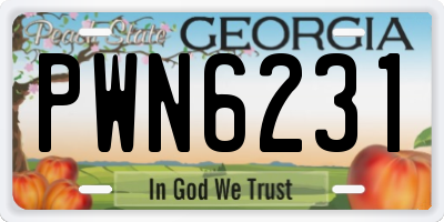 GA license plate PWN6231