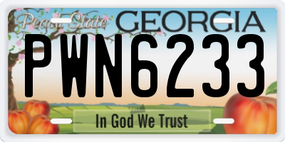 GA license plate PWN6233