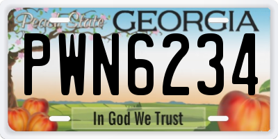 GA license plate PWN6234