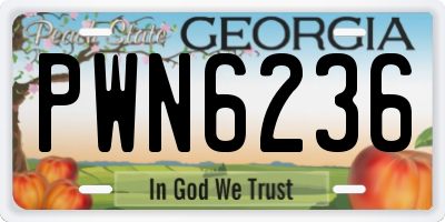 GA license plate PWN6236