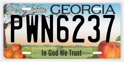 GA license plate PWN6237