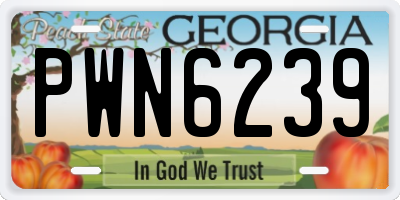 GA license plate PWN6239