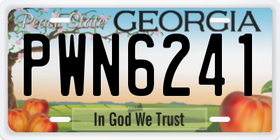 GA license plate PWN6241