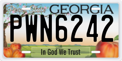 GA license plate PWN6242