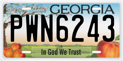 GA license plate PWN6243