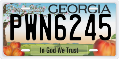 GA license plate PWN6245