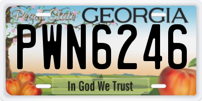GA license plate PWN6246