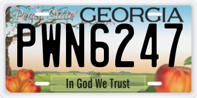 GA license plate PWN6247