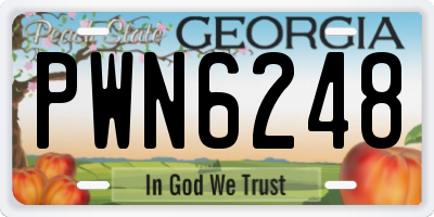 GA license plate PWN6248