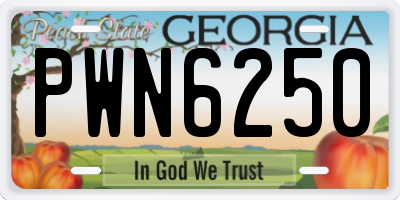 GA license plate PWN6250