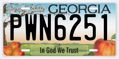 GA license plate PWN6251