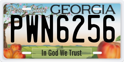 GA license plate PWN6256