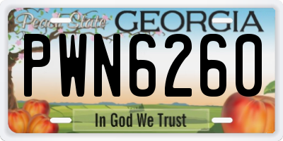 GA license plate PWN6260