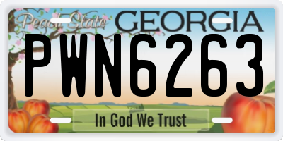 GA license plate PWN6263