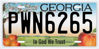 GA license plate PWN6265