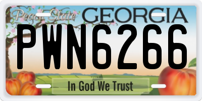 GA license plate PWN6266