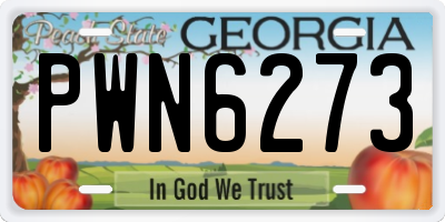 GA license plate PWN6273
