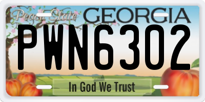 GA license plate PWN6302