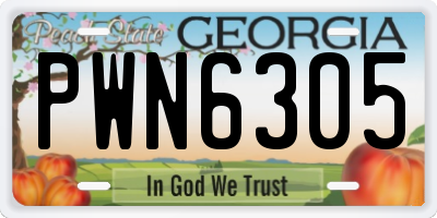 GA license plate PWN6305