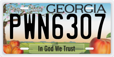 GA license plate PWN6307