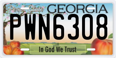 GA license plate PWN6308