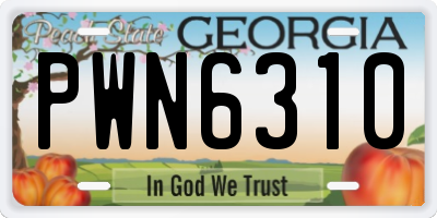 GA license plate PWN6310