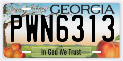 GA license plate PWN6313