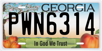 GA license plate PWN6314