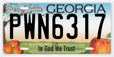 GA license plate PWN6317