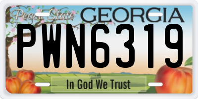 GA license plate PWN6319
