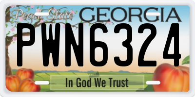 GA license plate PWN6324