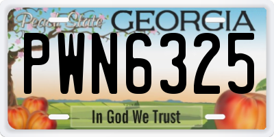 GA license plate PWN6325