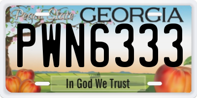 GA license plate PWN6333