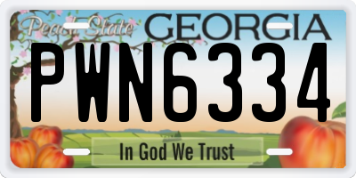 GA license plate PWN6334