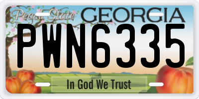 GA license plate PWN6335