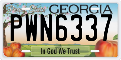 GA license plate PWN6337