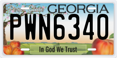 GA license plate PWN6340