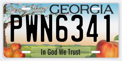 GA license plate PWN6341